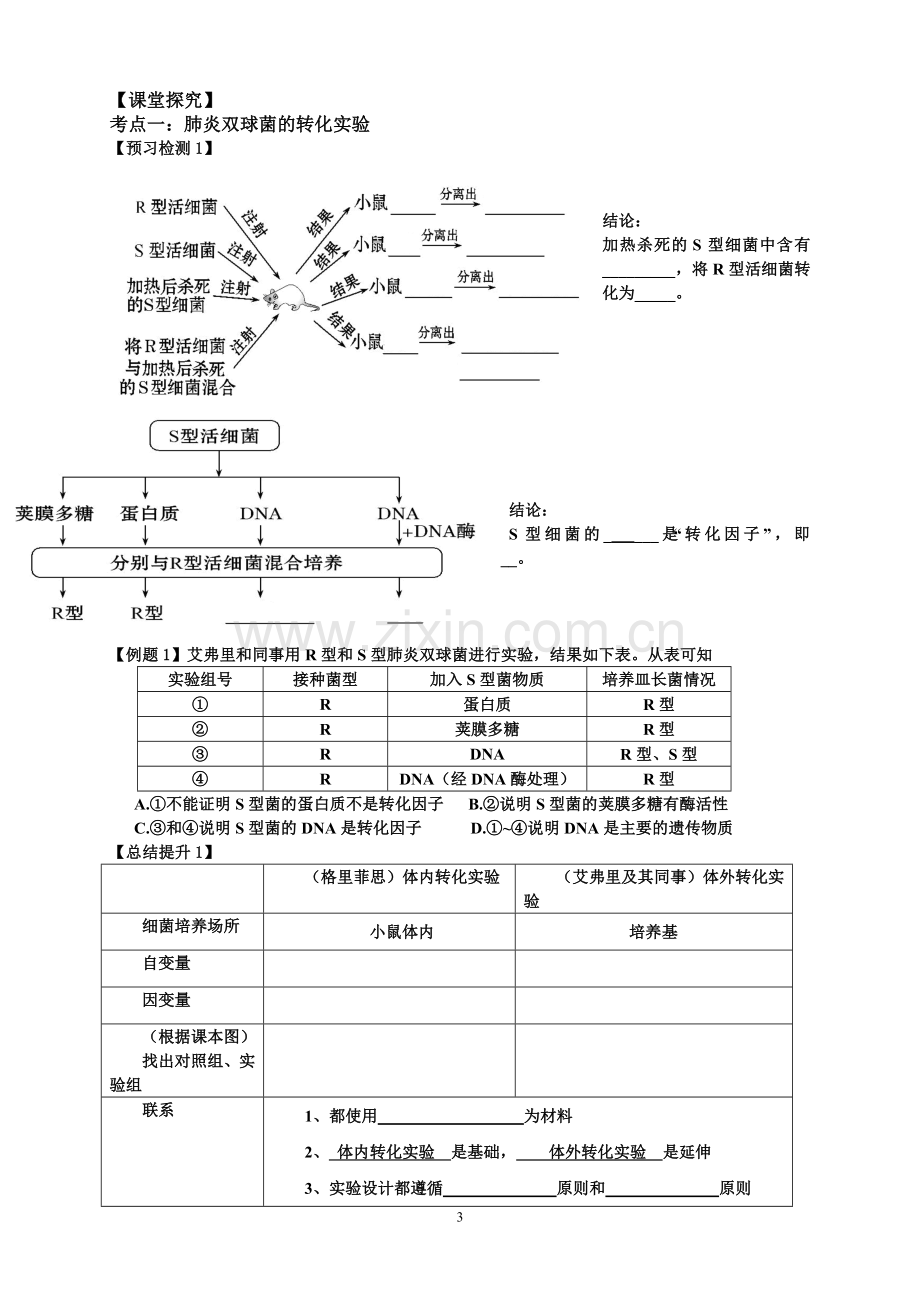 高三生物一轮复习--DNA是主要的遗传物质--学案.doc_第3页