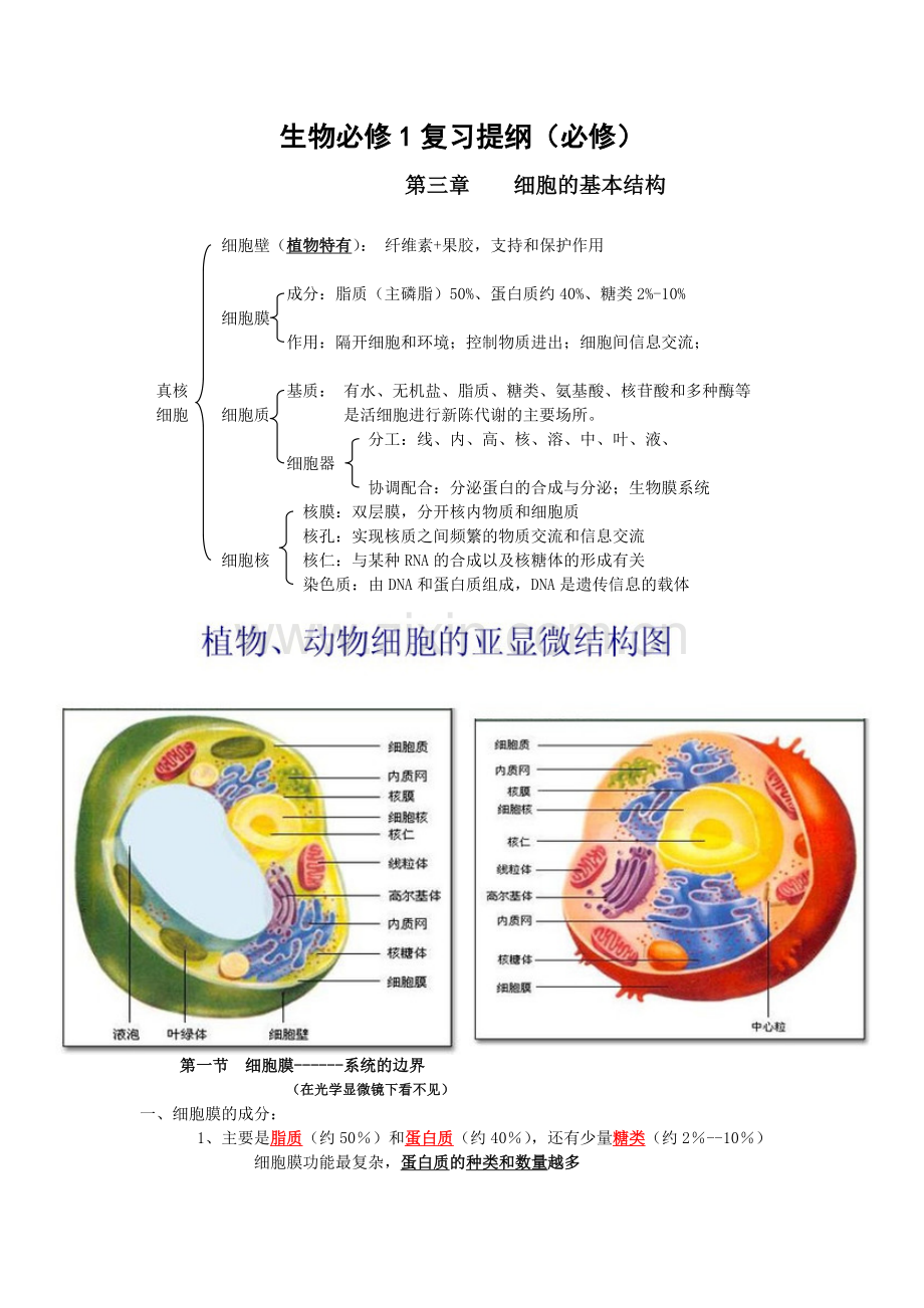 细胞的基本结构复习提纲.doc_第1页