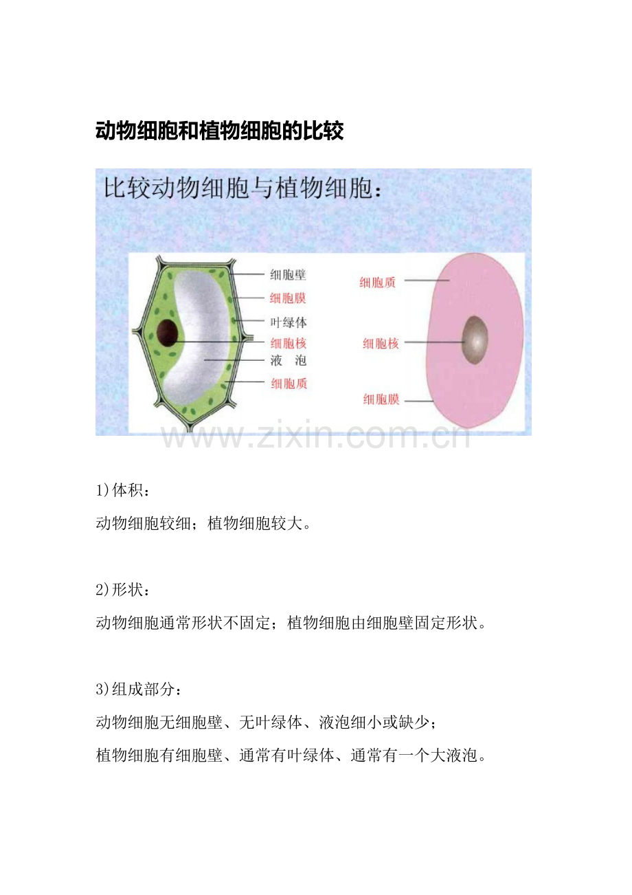 动物细胞和植物细胞的比较.doc_第1页