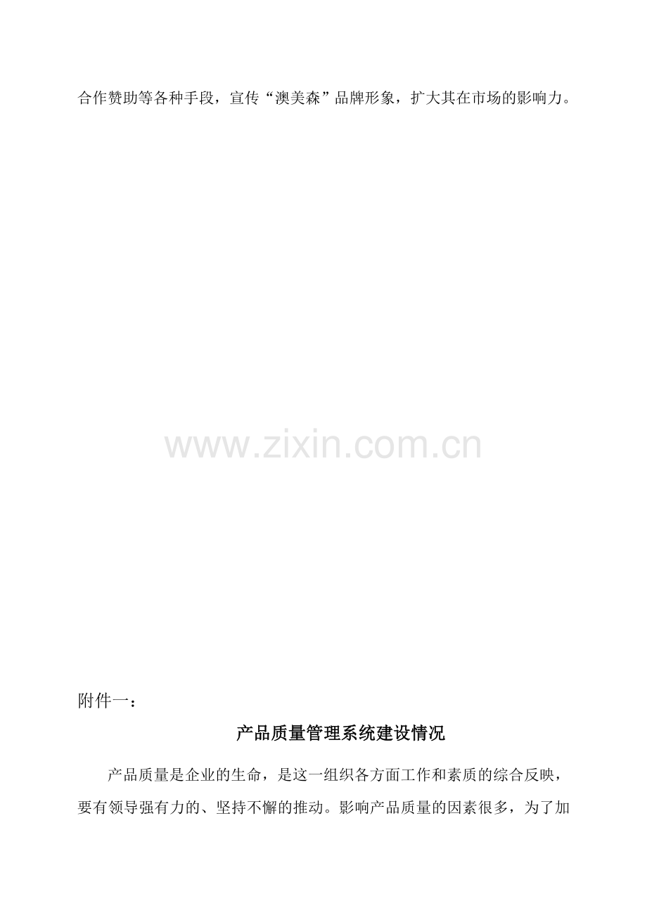 公司商标战略规划.doc_第2页