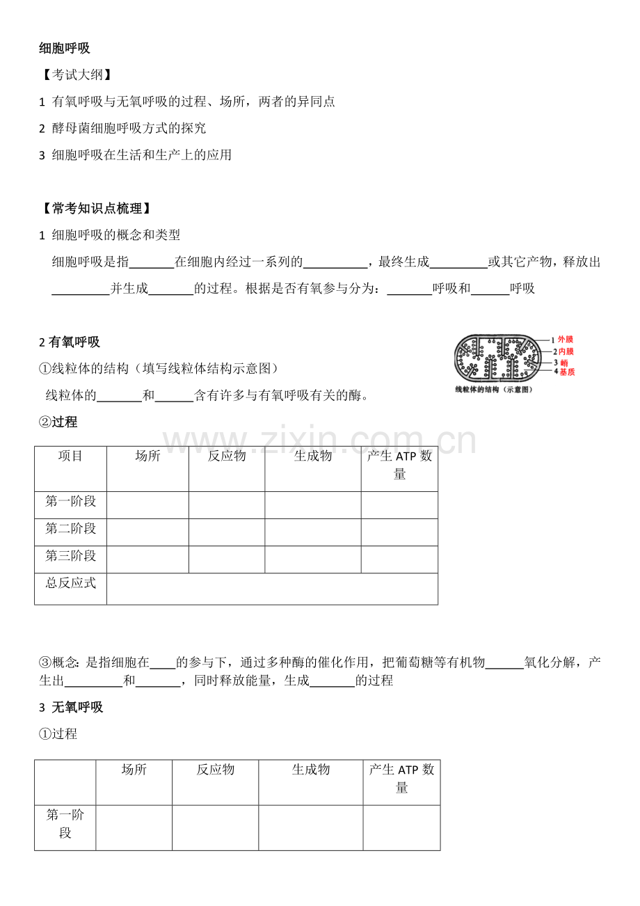 光合与呼吸知识点.docx_第1页