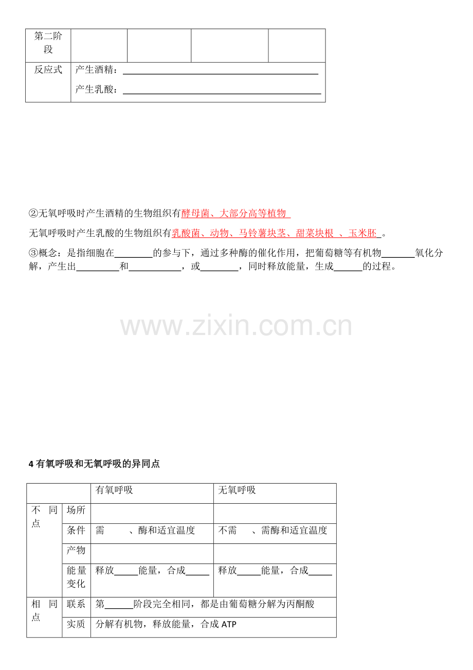 光合与呼吸知识点.docx_第2页