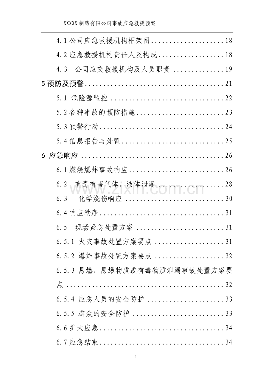 制药有限公司事故应急预案.doc_第2页