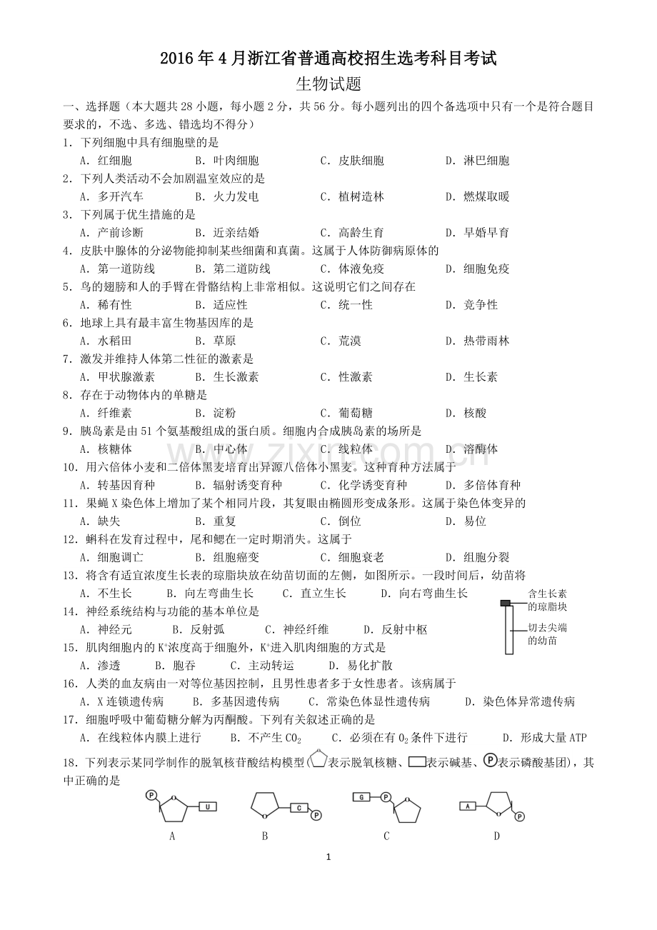 2016年4月浙江省普通高校招生选考科目考试生物试题(精校版).doc_第1页