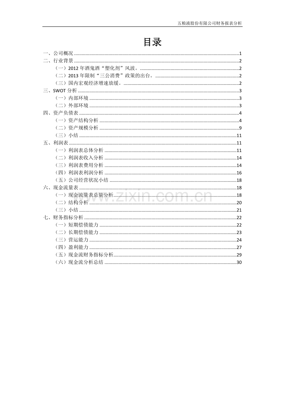 五粮液财务报表分析.docx_第2页