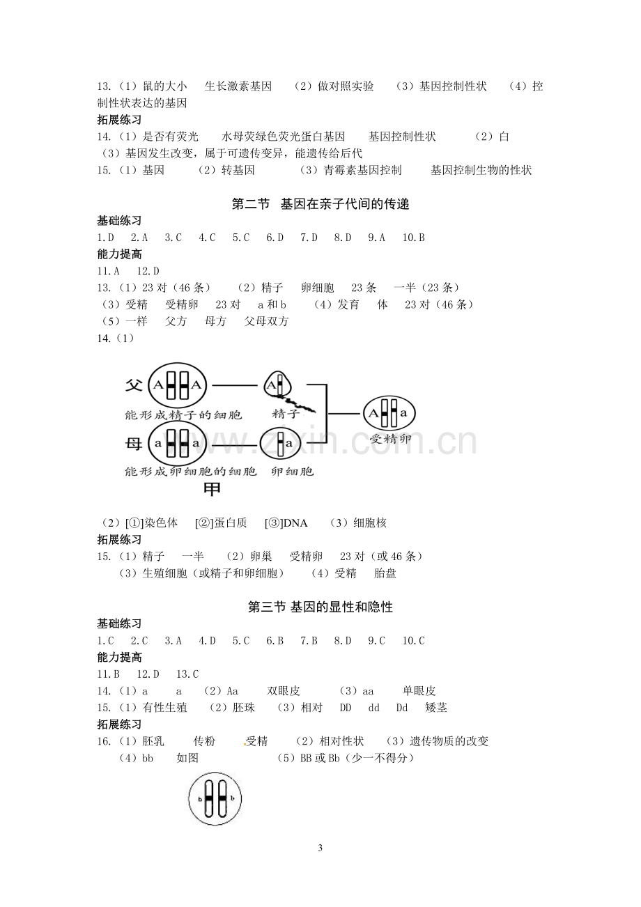 生物知识与能力训练初二下参考答案.doc_第3页