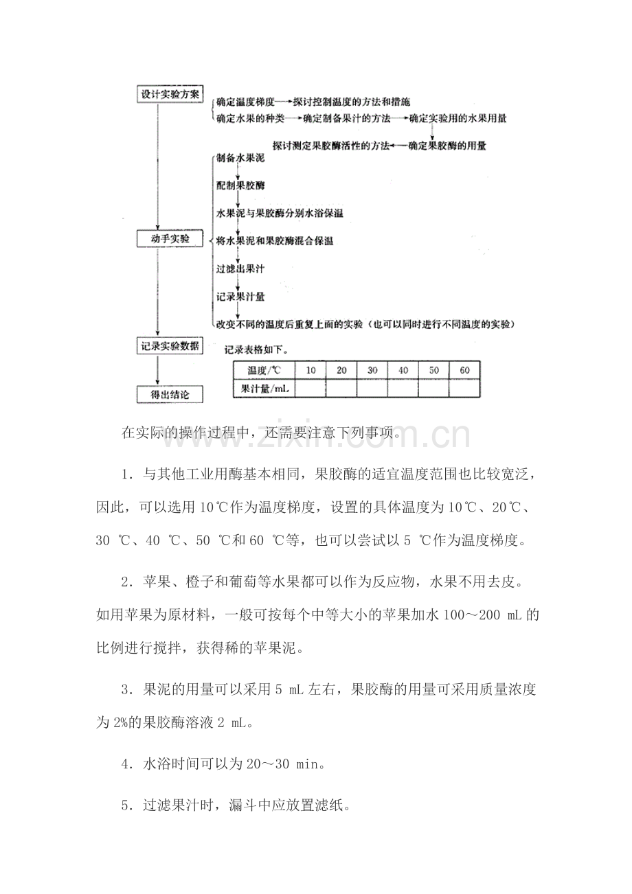 果胶酶在果汁生产中的应用教学设计.doc_第3页