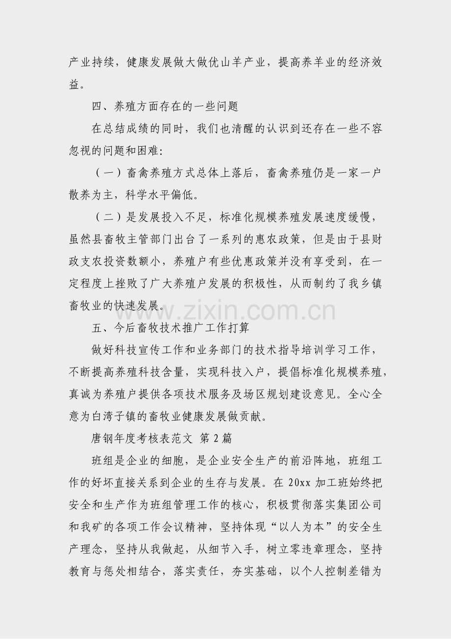 唐钢年度考核表范文(4篇).pdf_第2页