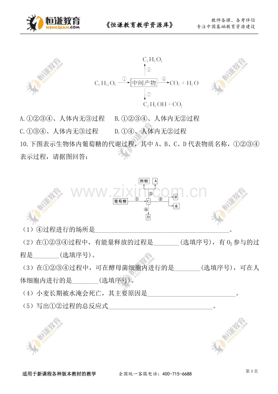 ATP的主要来源---细胞呼吸.doc_第3页