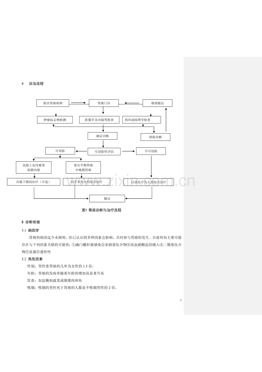 胃癌规范化诊治指南(试行)2013.doc_第2页