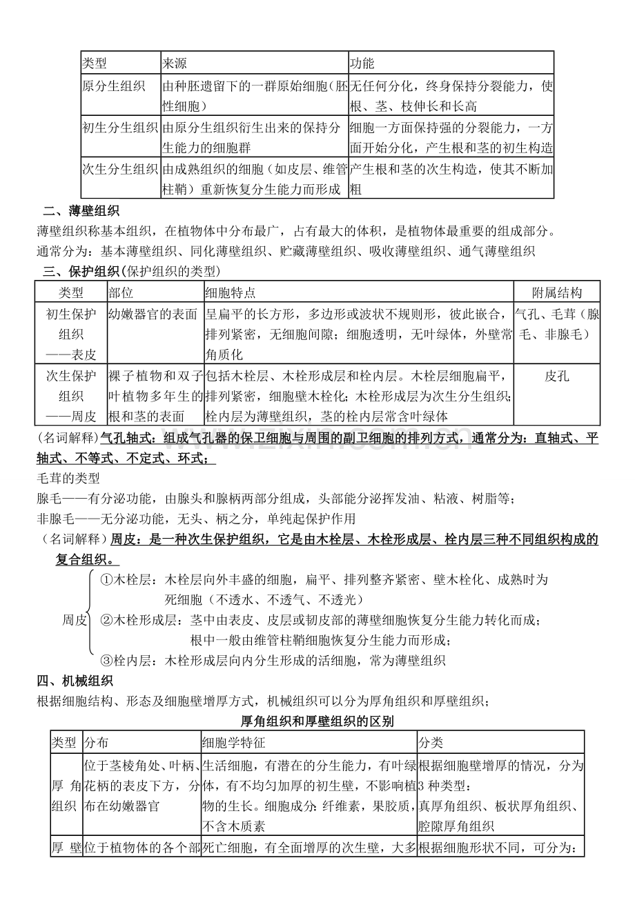 药用植物学重点.doc_第2页