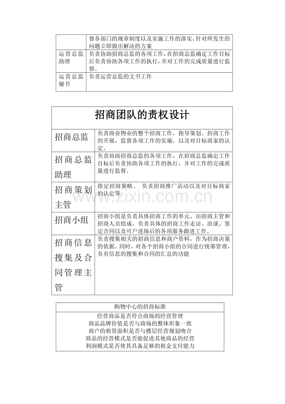 招商的团队组建及执行大纲.doc_第3页