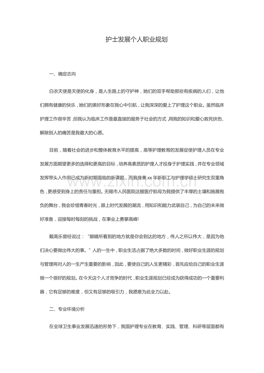 护士个人发展职业规划-含封面.docx_第2页