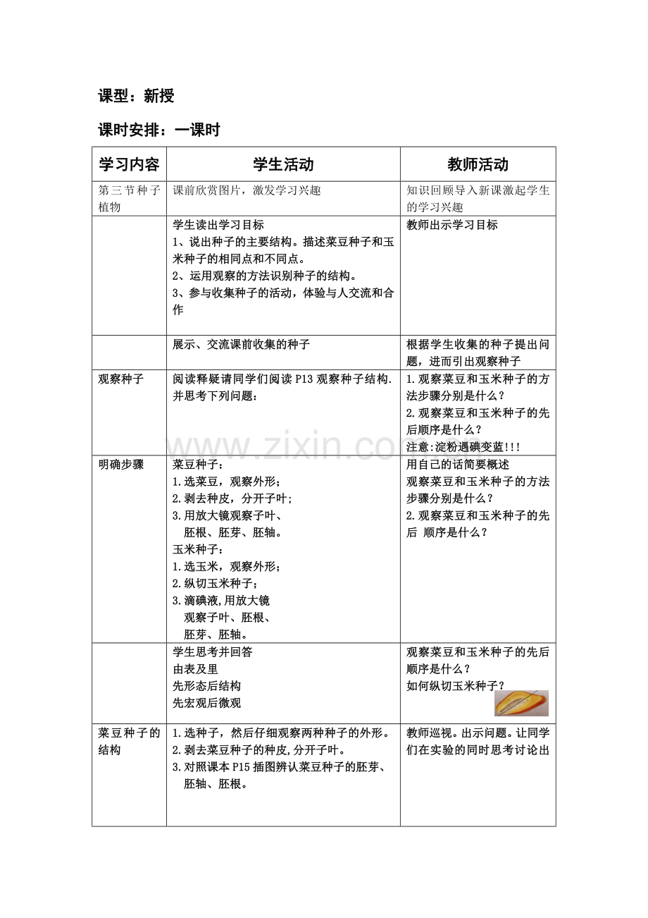 第三节种子植物.doc_第2页