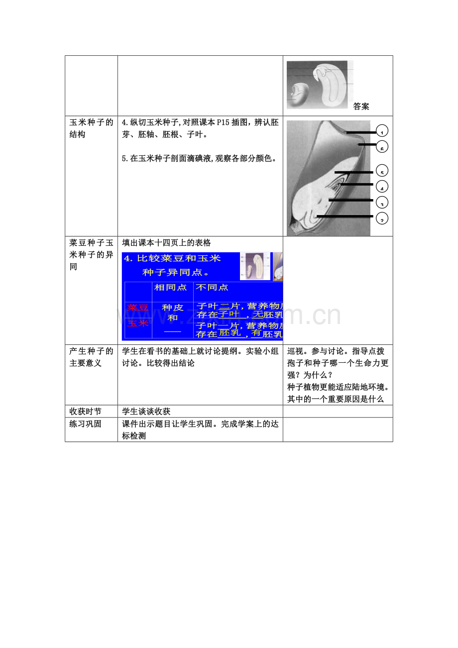 第三节种子植物.doc_第3页