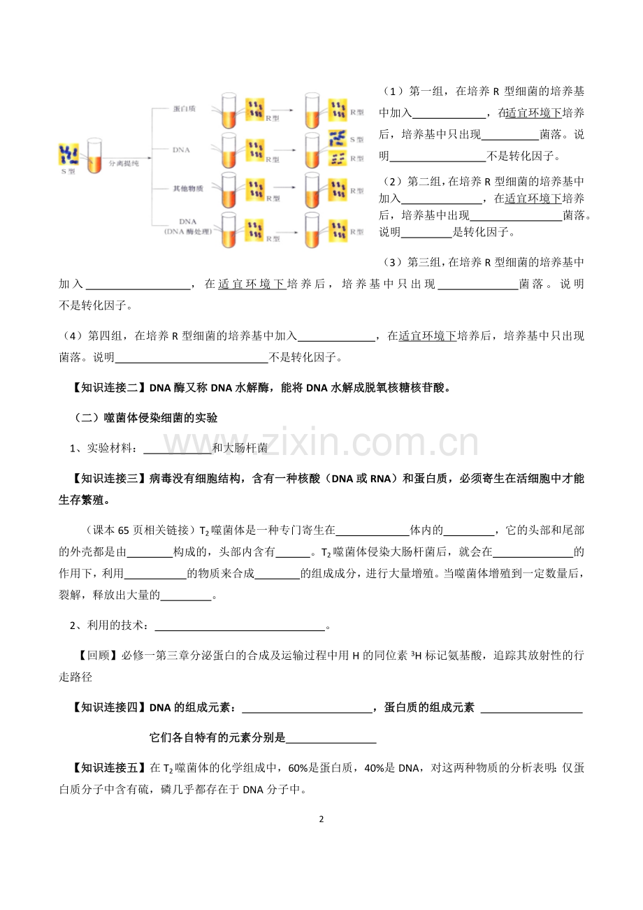 第一节遗传物质的发现.docx_第2页