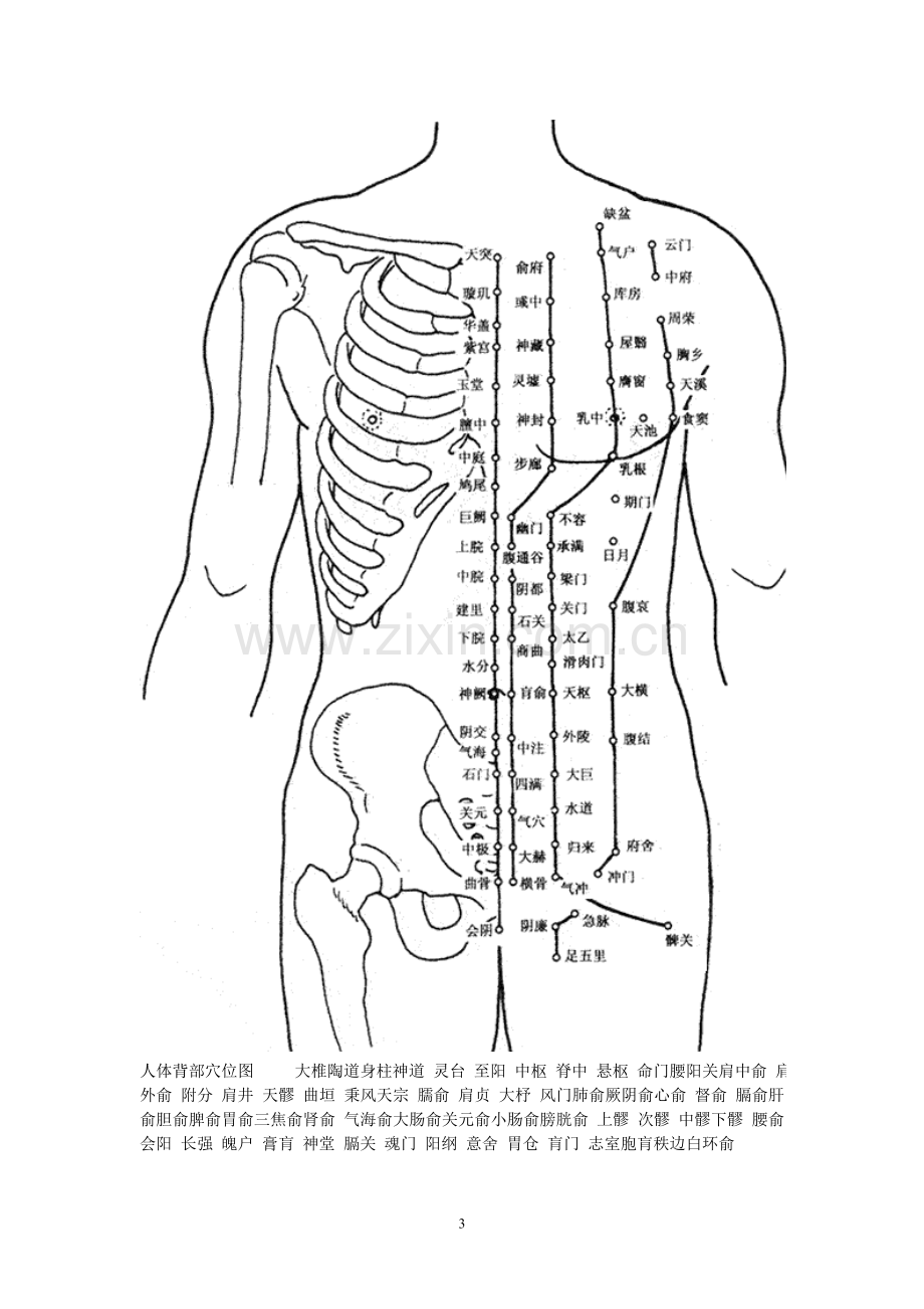 人体穴位图作用.doc_第3页