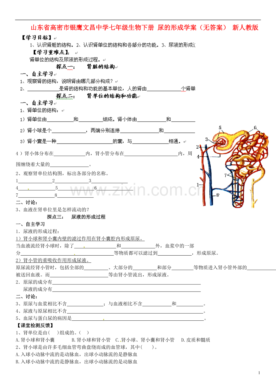 山东省高密市银鹰文昌中学七年级生物下册-尿的形成学案(无答案)-新人教版.doc_第1页