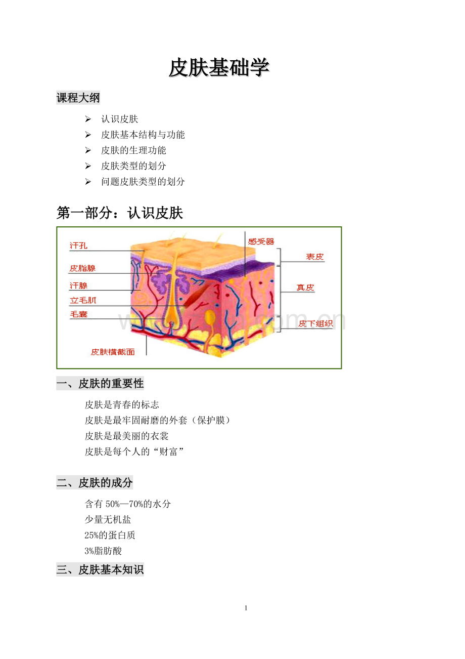 关于皮肤基础知识的详解.doc_第1页