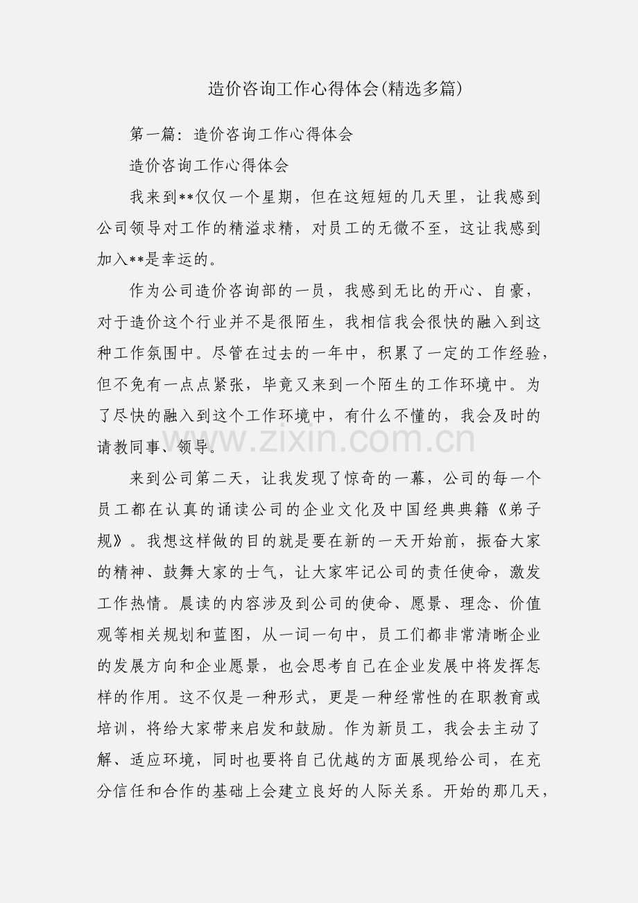 造价咨询工作心得体会(多篇).docx_第1页