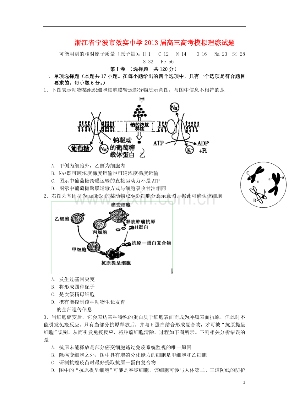 浙江省宁波市效实中学高考理综模拟试题.doc_第1页