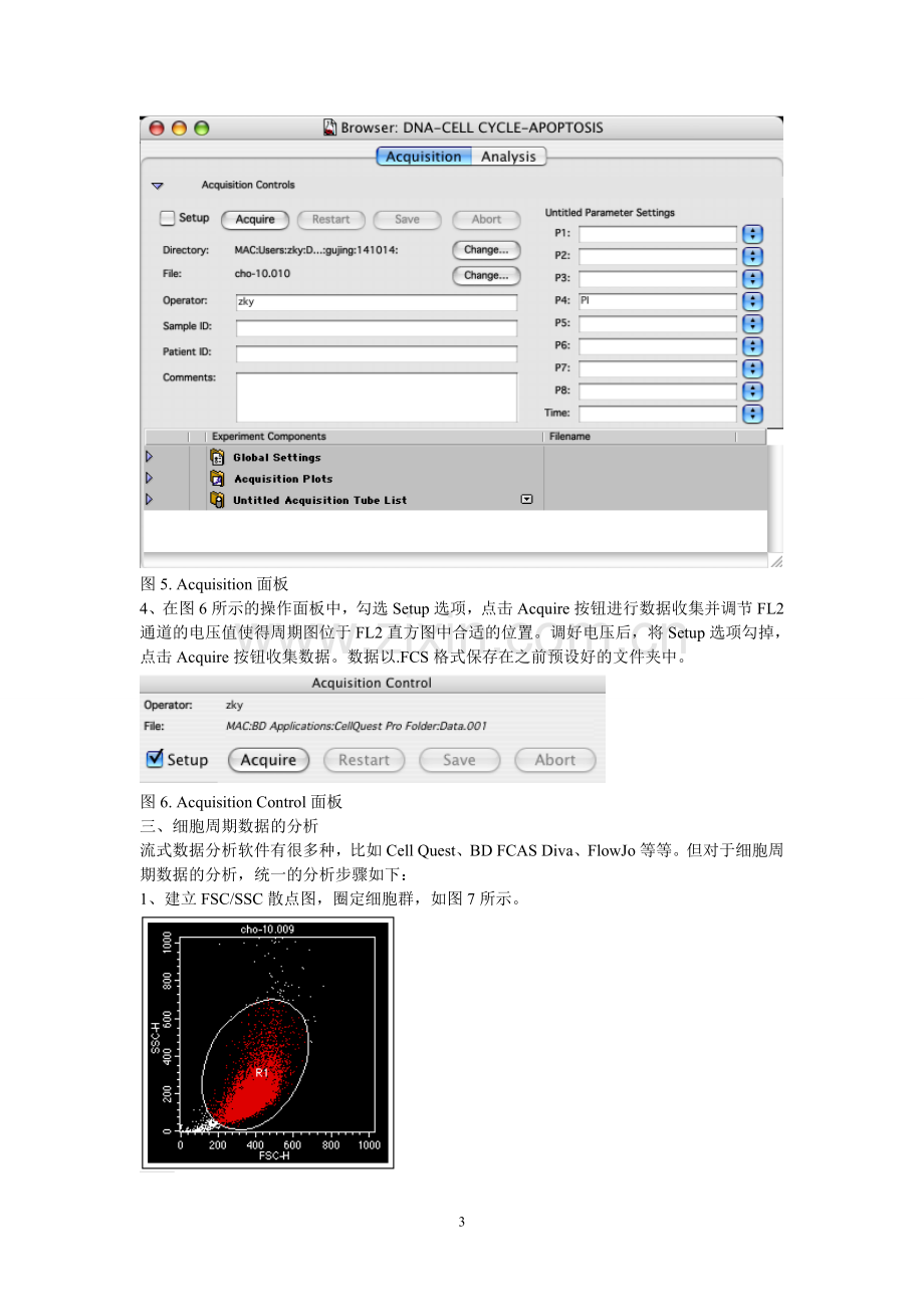 细胞周期的流式检测方法.doc_第3页