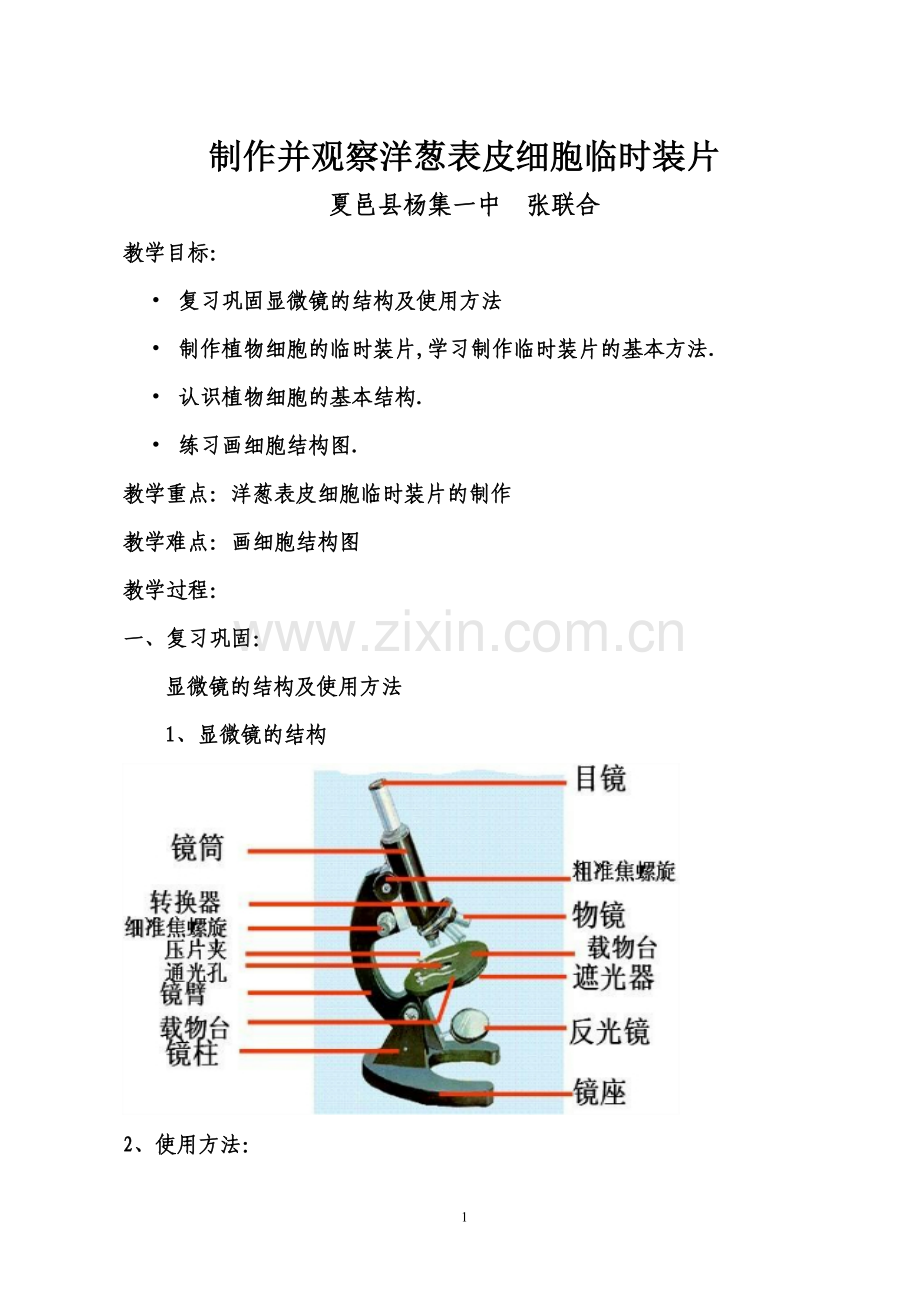 制作并观察洋葱表皮细胞临时装片.doc_第1页