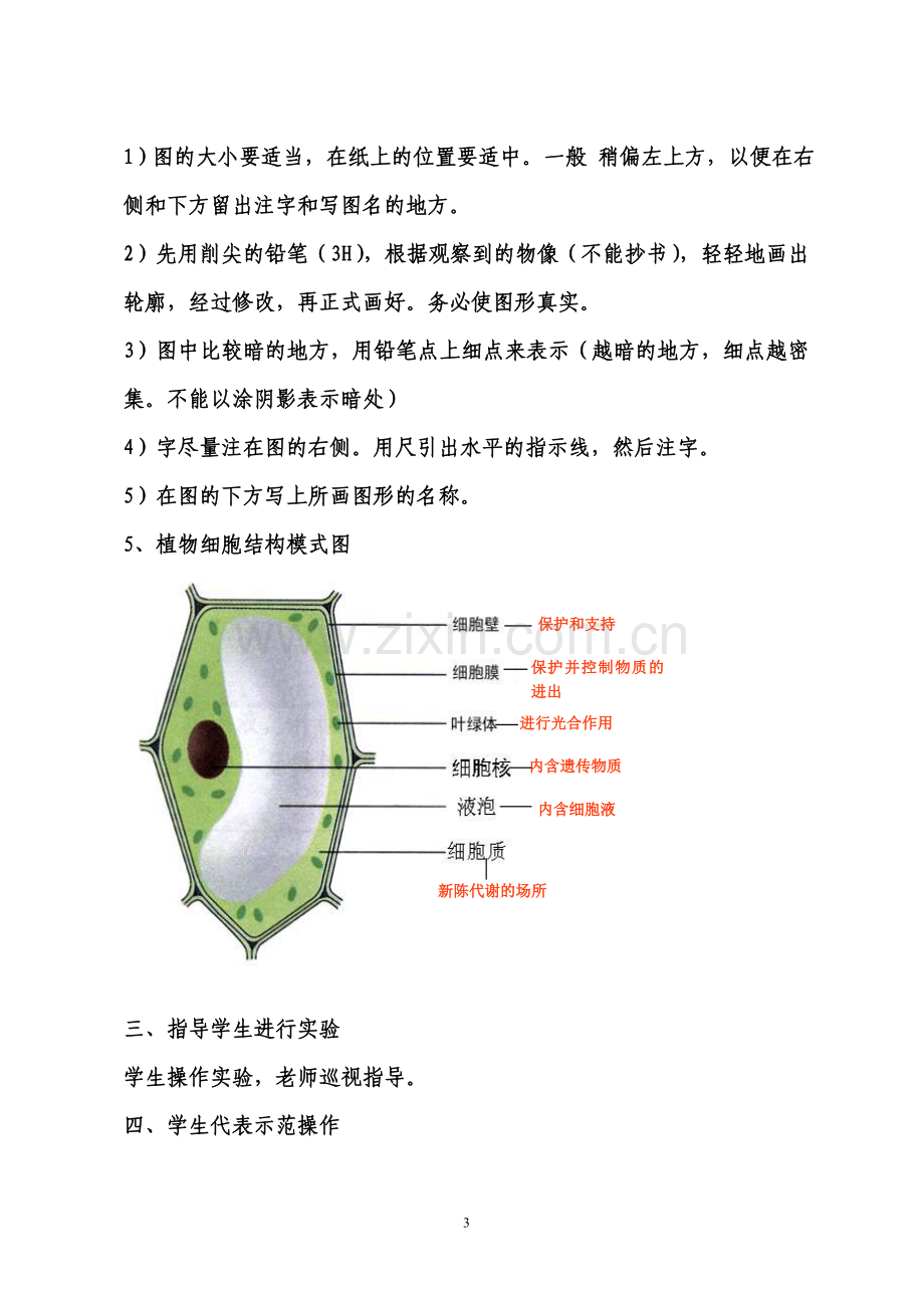 制作并观察洋葱表皮细胞临时装片.doc_第3页