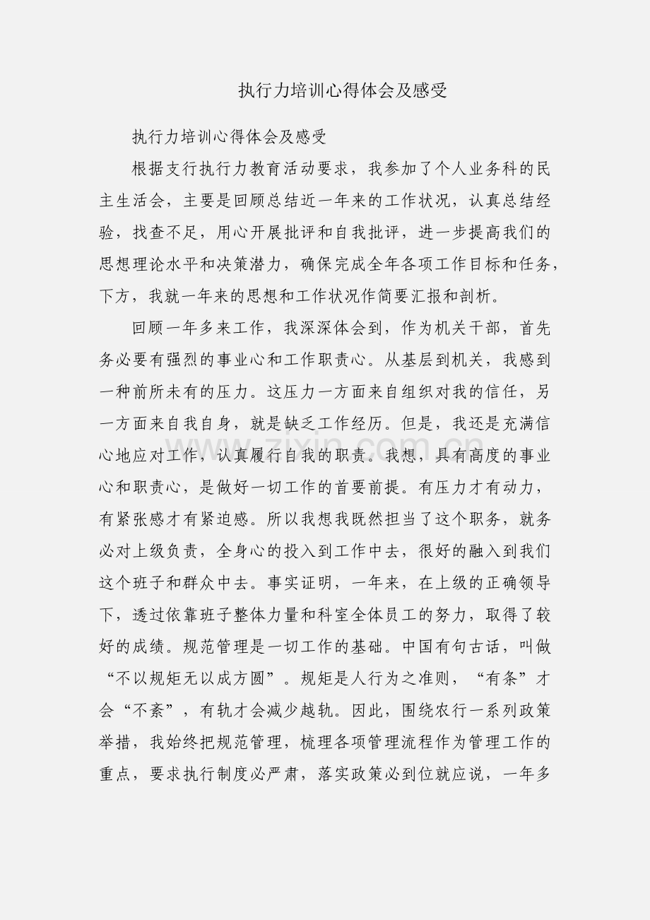 执行力培训心得体会及感受.docx_第1页