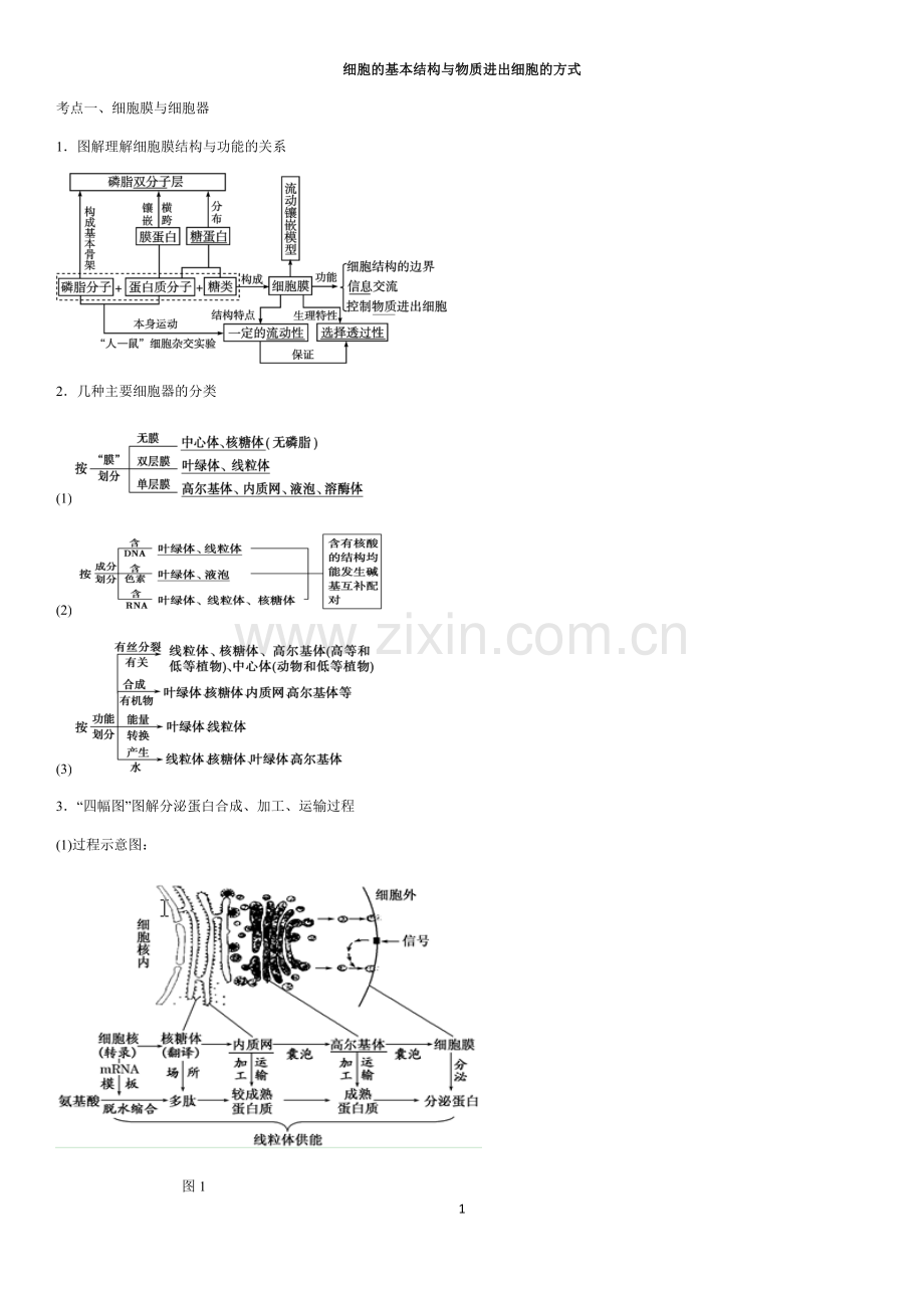 细胞的基本结构与物质进出细胞的方式.docx_第1页