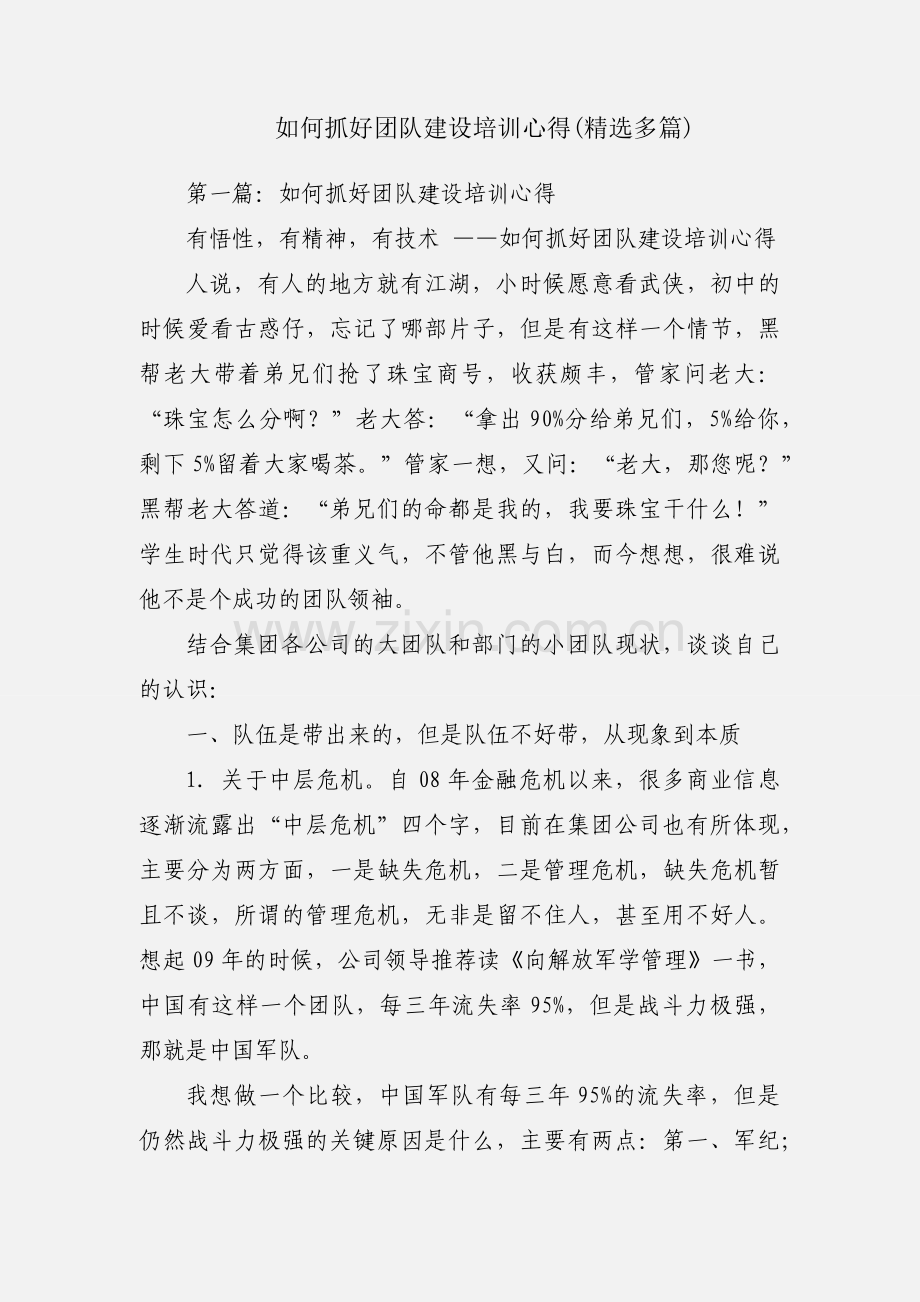 如何抓好团队建设培训心得(多篇).docx_第1页