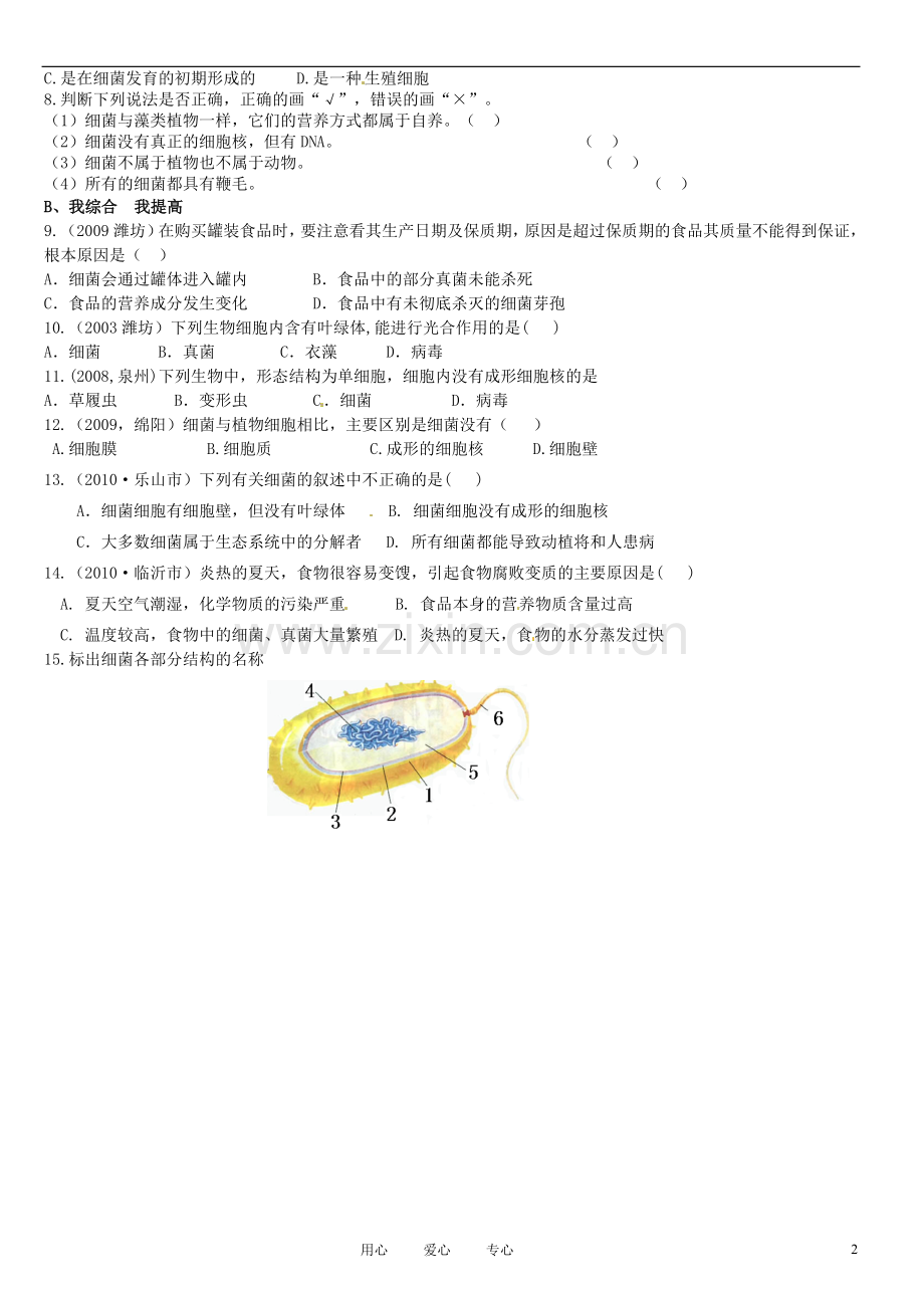 山东省高密市银鹰文昌中学七年级生物上册-细菌学案(无答案).doc_第2页