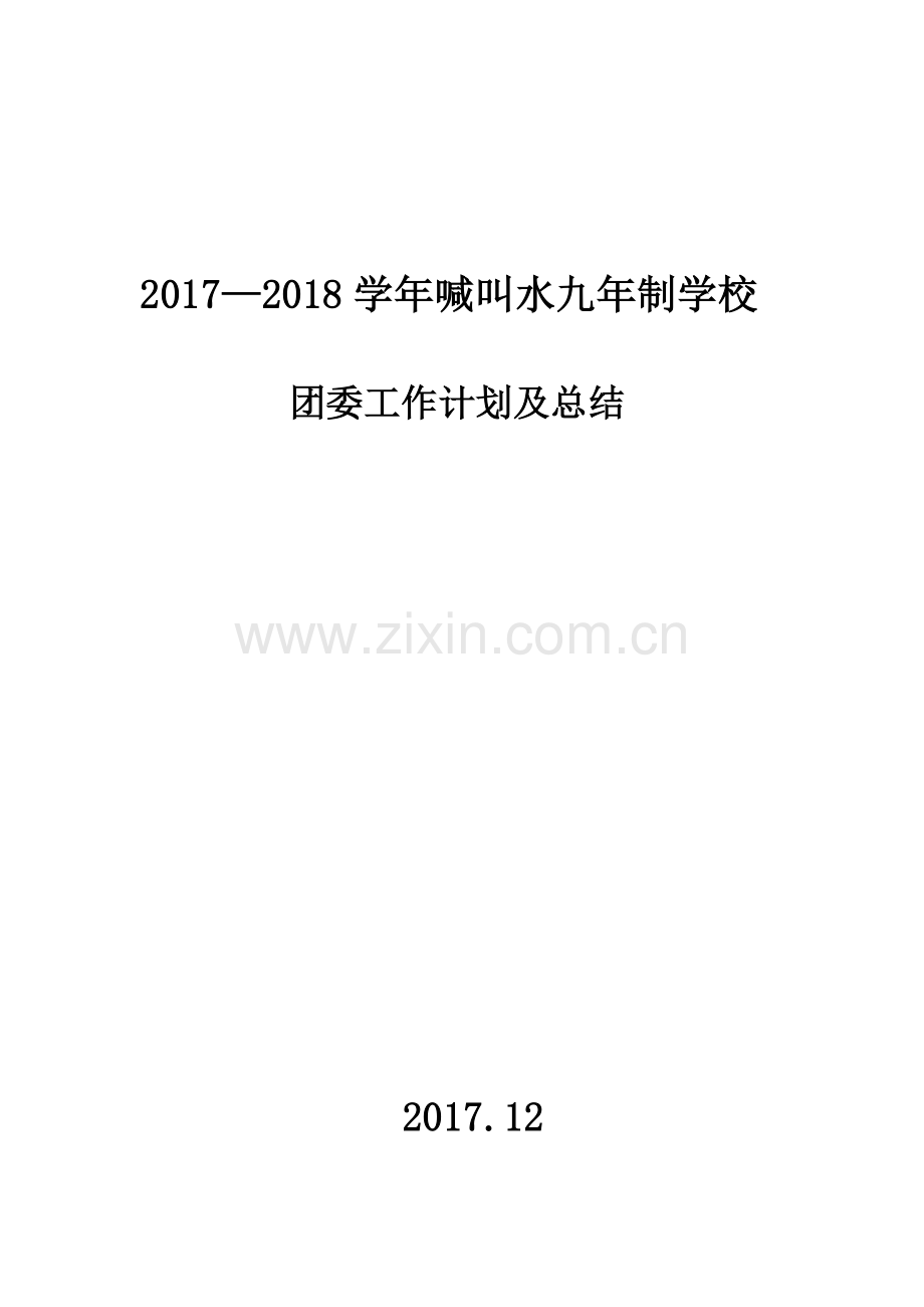 团委工作计划及总结.docx_第1页