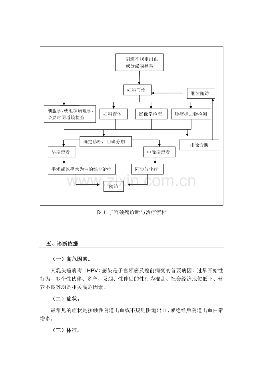 宫颈癌规范化诊治指南.doc_第2页