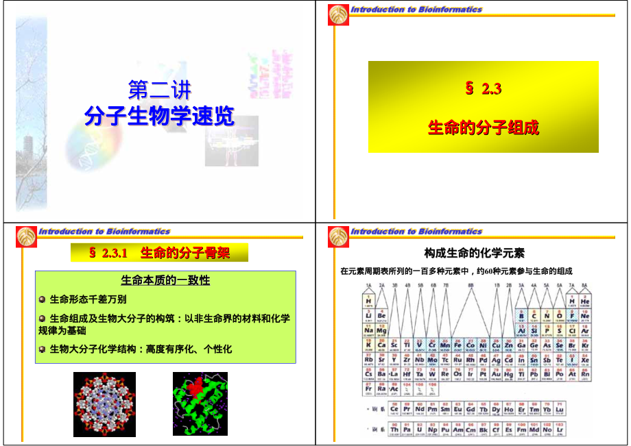 分子生物学.pdf_第1页