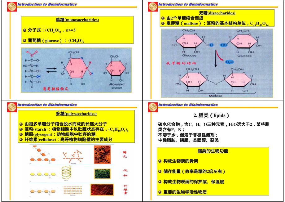 分子生物学.pdf_第3页