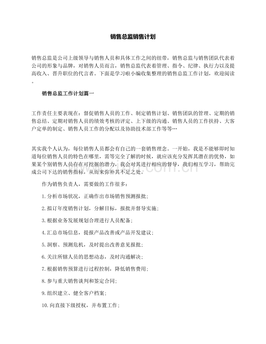 销售总监销售计划.docx_第1页