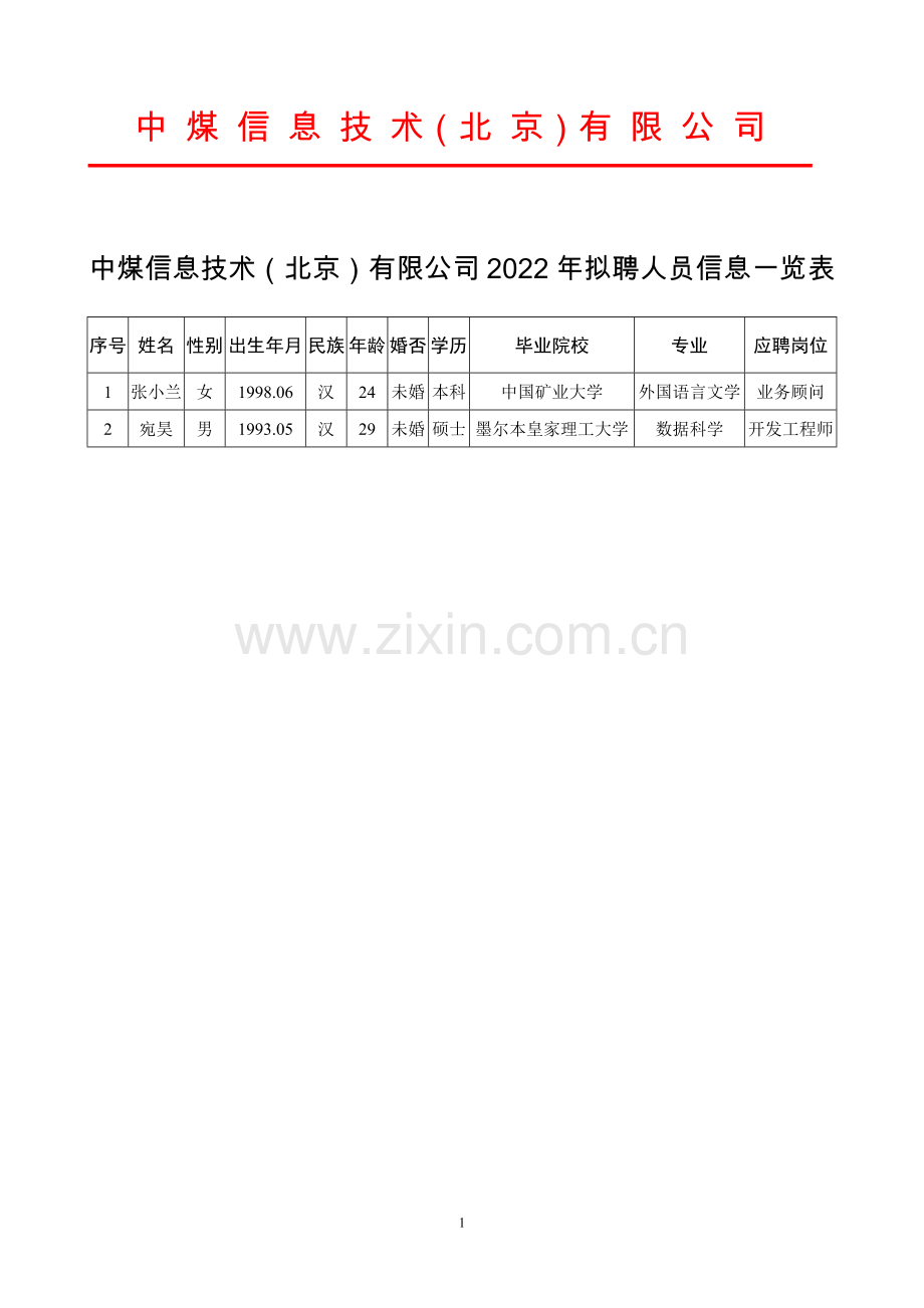 中煤信息技术(北京)有限公司.doc_第1页