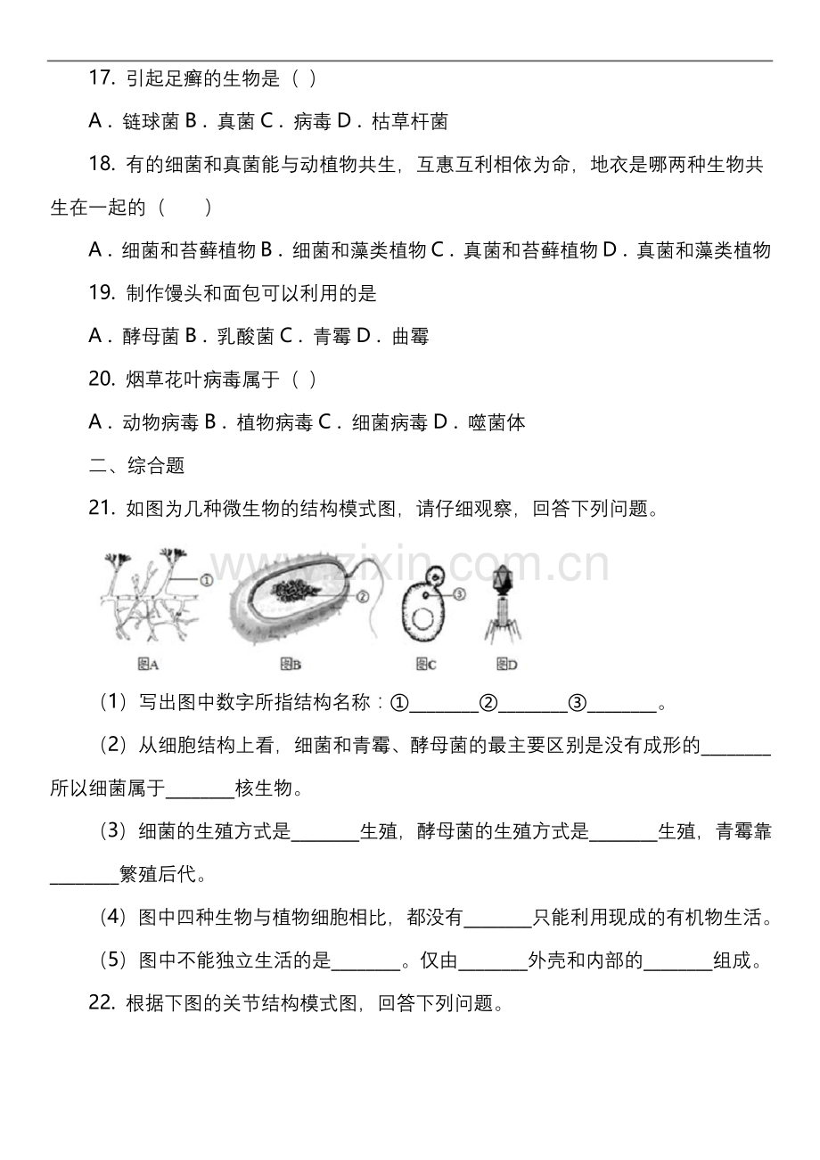 八年级上学期生物第三次月考试卷.docx_第3页