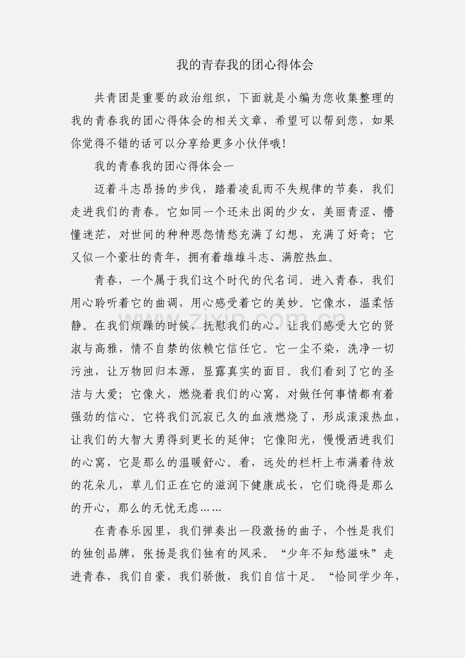 我的青春我的团心得体会.docx_第1页