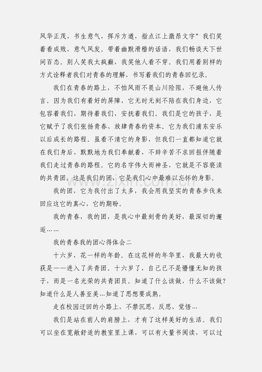 我的青春我的团心得体会.docx_第2页