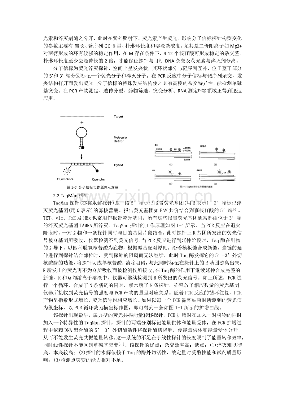 荧光PCR原理、常用探针的优缺点及多重荧光PCR技术进展.doc_第2页