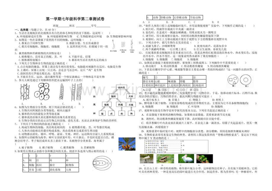 七上科学第二章测试卷.docx_第1页