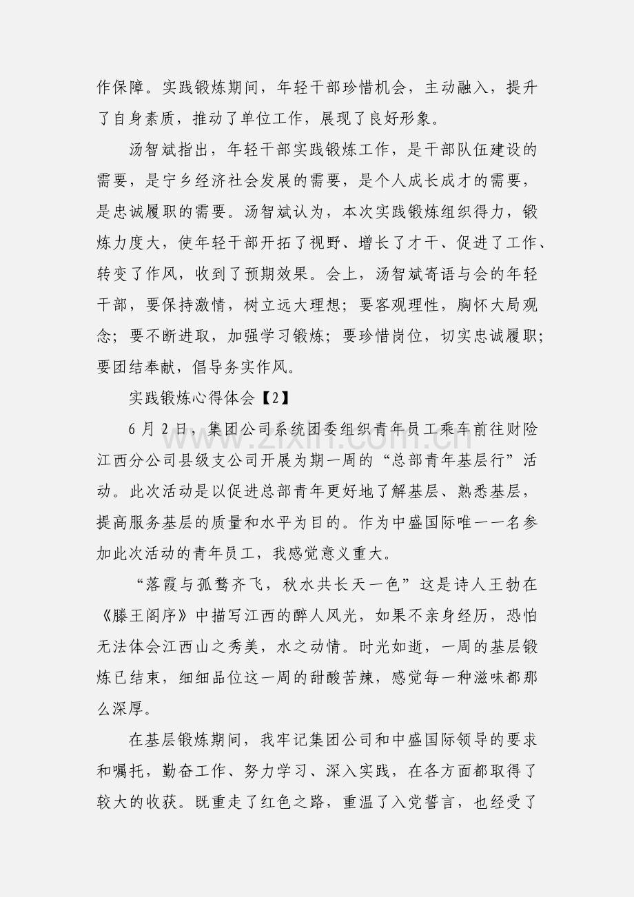 实践锻炼心得体会.docx_第2页