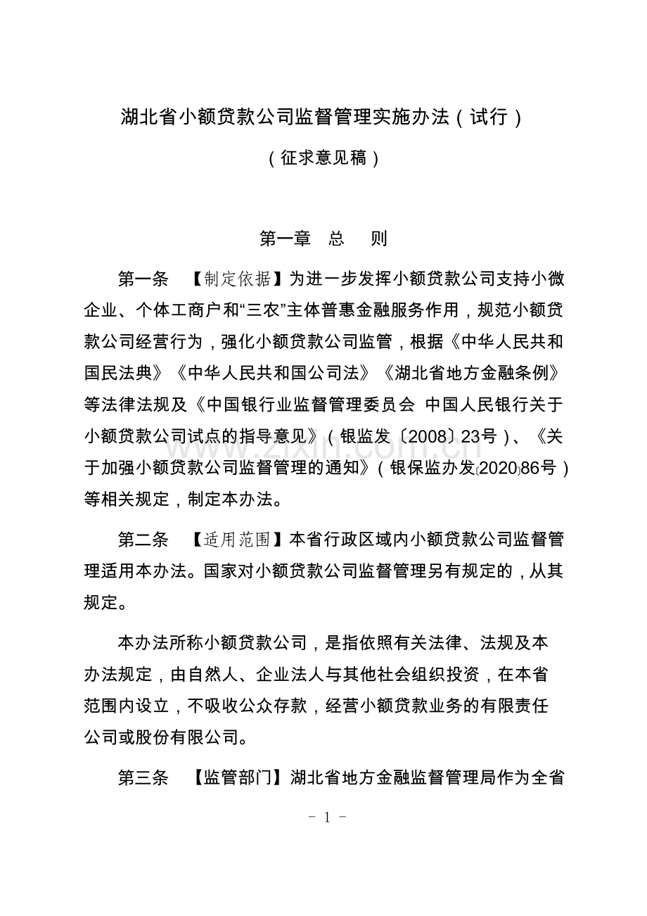 湖北省小额贷款公司监督管理实施办法(试行).docx_第1页