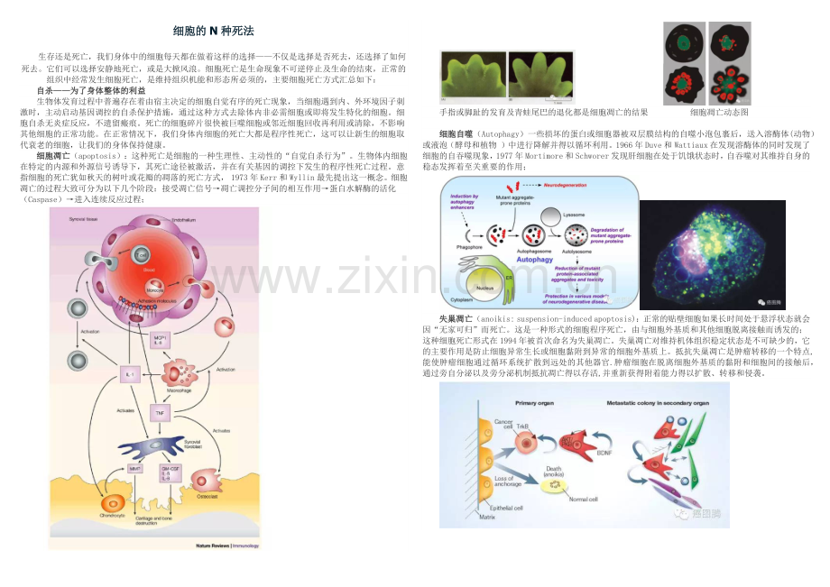 细胞的N种死法.docx_第1页