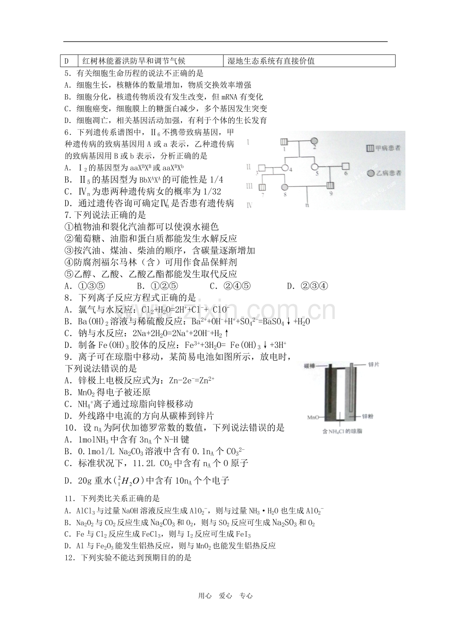 广东省深圳市高三理综第一次模拟考试-新人教版.doc_第2页