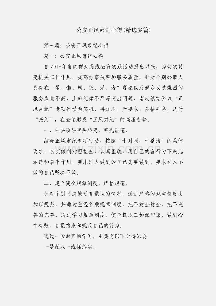 公安正风肃纪心得(多篇).docx_第1页