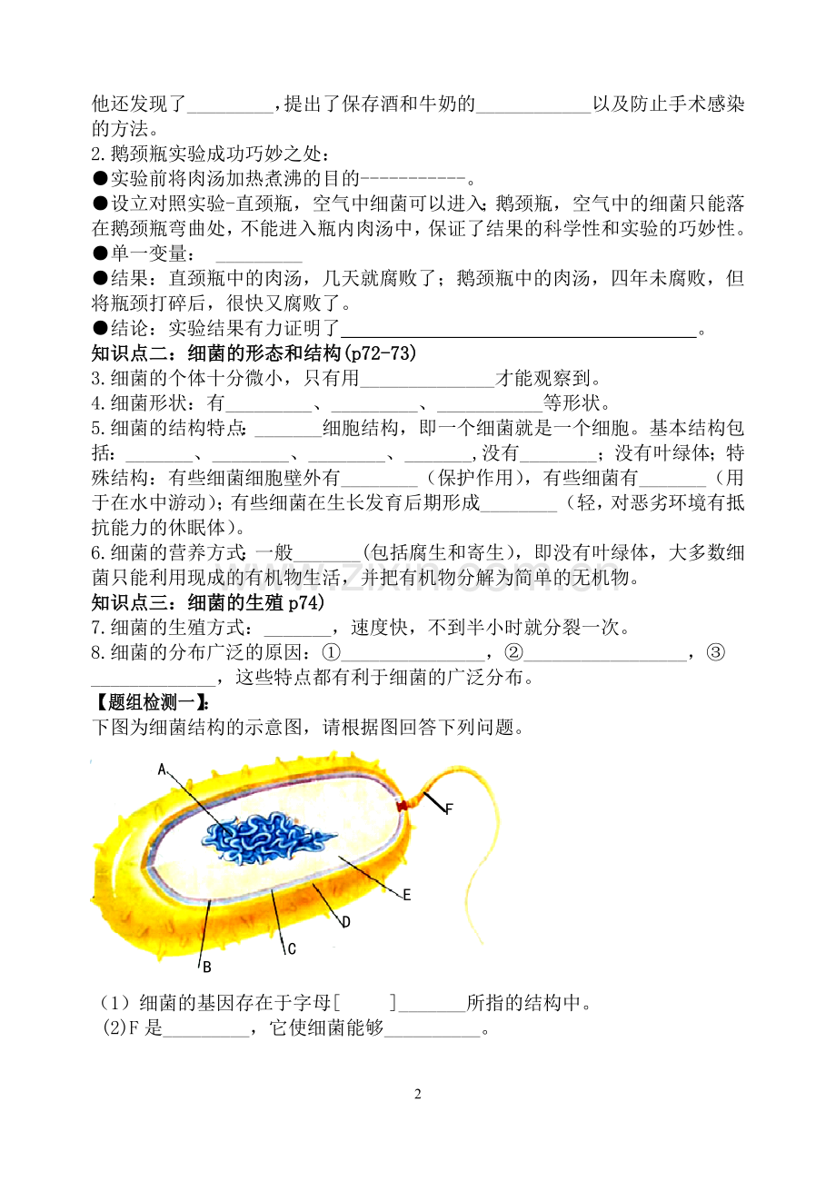 细菌和真菌复习学案.doc_第2页