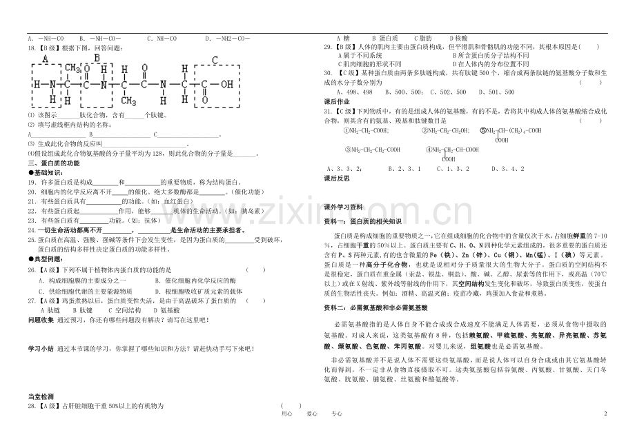 高中生物《生命活动的主要承担者——蛋白质》学案9-新人教版必修1.doc_第2页